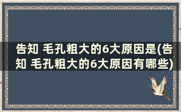 告知 毛孔粗大的6大原因是(告知 毛孔粗大的6大原因有哪些)